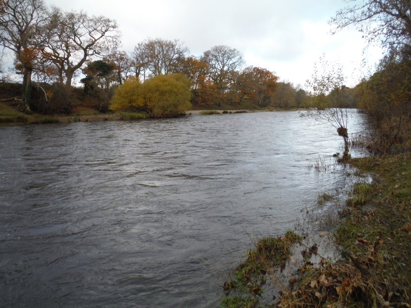 Wye above Builth